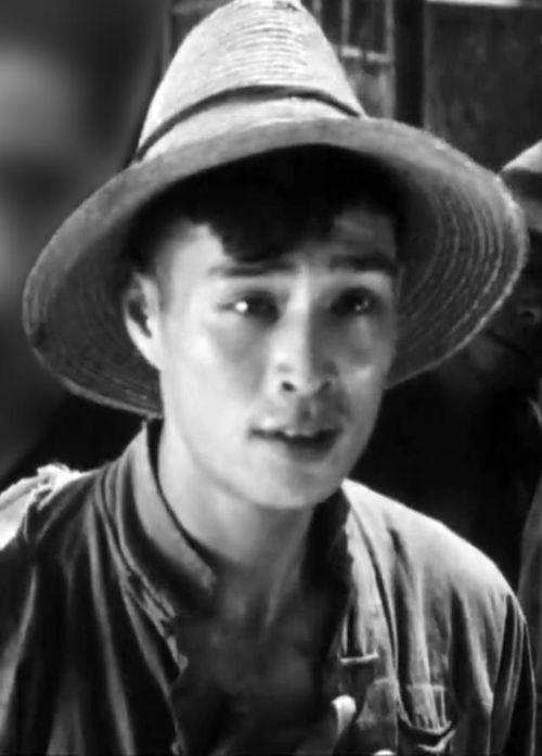 明星 金山 人物,闪耀银幕的璀璨明星