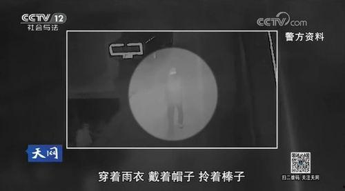 天网命案视频,揭秘命案背后的惊心动魄