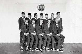 exo老公h,揭秘偶像背后的爱情故事