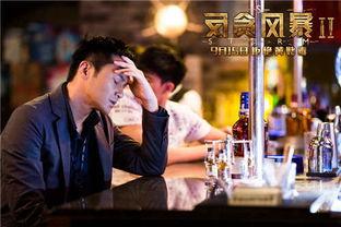 反贪风暴2在线播放bd,正义风暴再起，贪腐无处遁形！