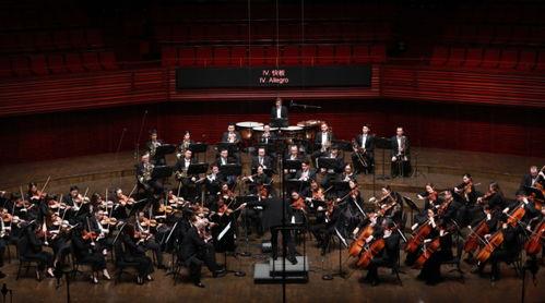 交响音乐视频,探寻音乐与视觉的和谐共鸣