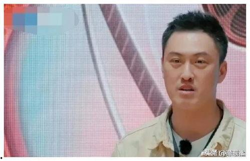 娱乐圈吃瓜户,揭秘“吃瓜户”背后的真相与趣味